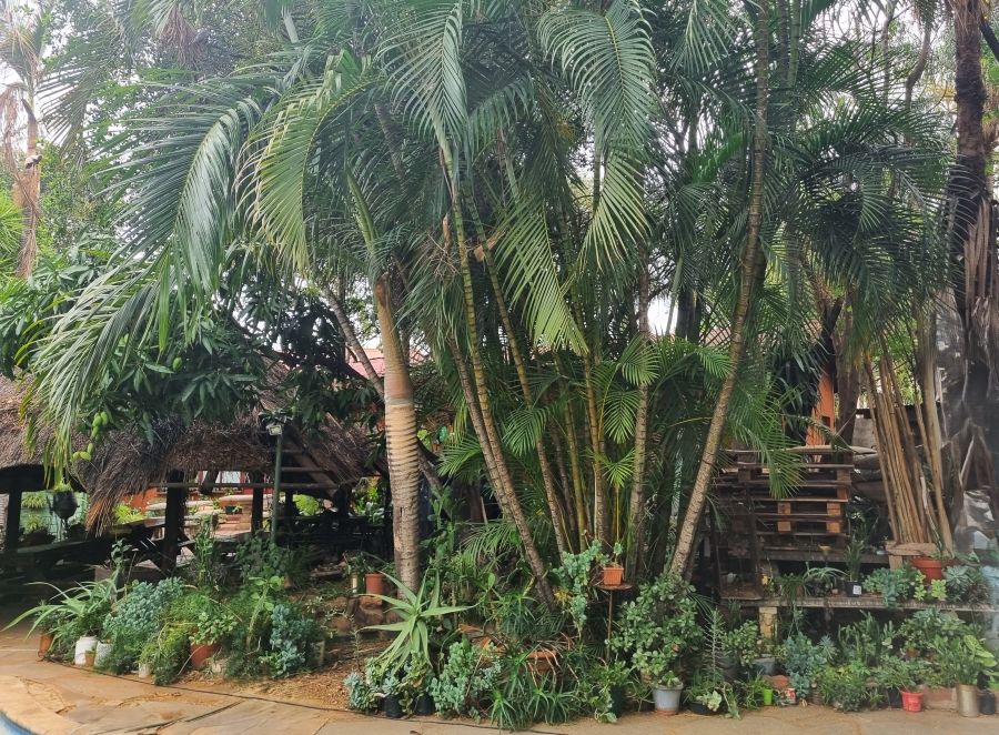 Commercial Property for Sale in Bodorp North West